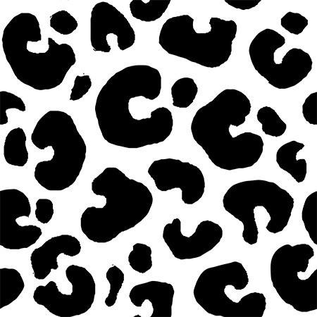 Bold Leopard Print Coordinate
