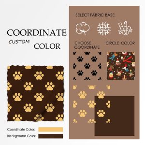 Custom Coordinate Color