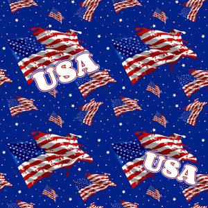 American Stars & Stripes Celebration