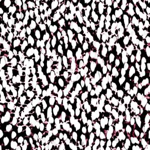 Black & White Abstract Zebra