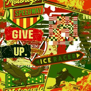 Vintage Racer Ski Eagle Sticker Collage