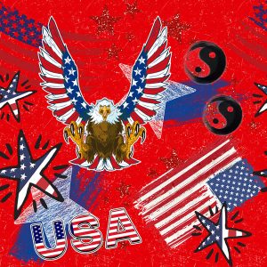 Bald Eagle Yin Yang Star Grunge