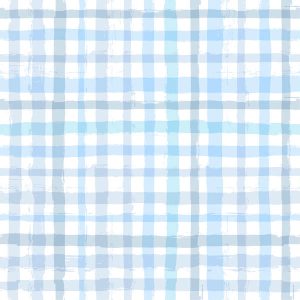 Airy Light Blue & White Plaid