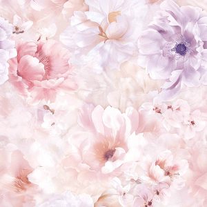 Blush Peony