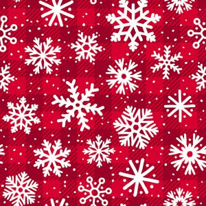 Plaid Snowflake