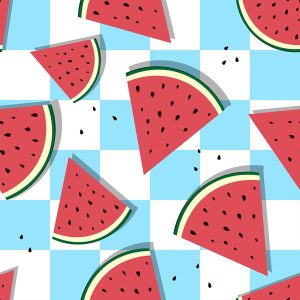 Cool Watermelon & Blue Checkerboard
