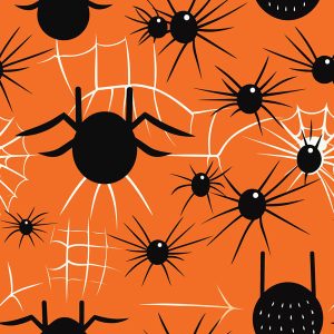 Cozy Halloween Spider & Web