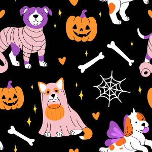 Dog Costume Halloween