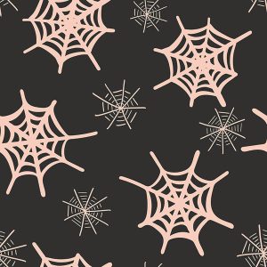 Charcoal Spiderweb