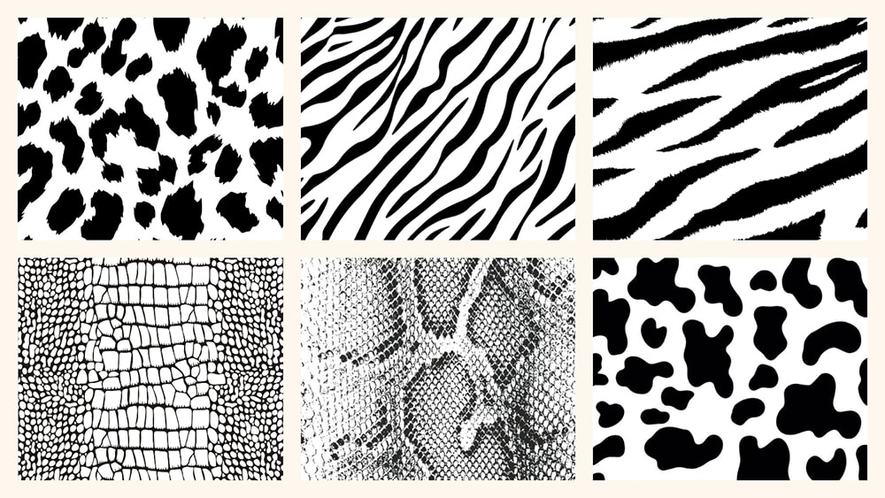 Animal Print 101 1